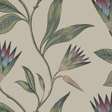 Anna French Cleo Vine Plum And Blue Wallpaper