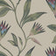 Anna French Cleo Vine Plum And Blue Wallpaper