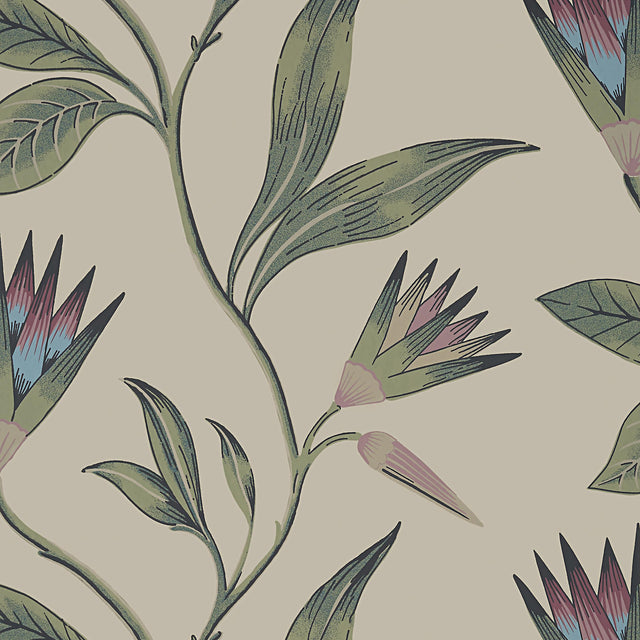Anna French Cleo Vine Plum And Blue Wallpaper