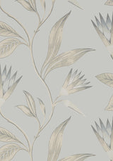 Anna French CLEO VINE Spa Blue on Grey Wallpaper
