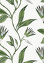 Anna French CLEO VINE Green and White Wallpaper