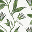 Anna French Cleo Vine Green And White Wallpaper