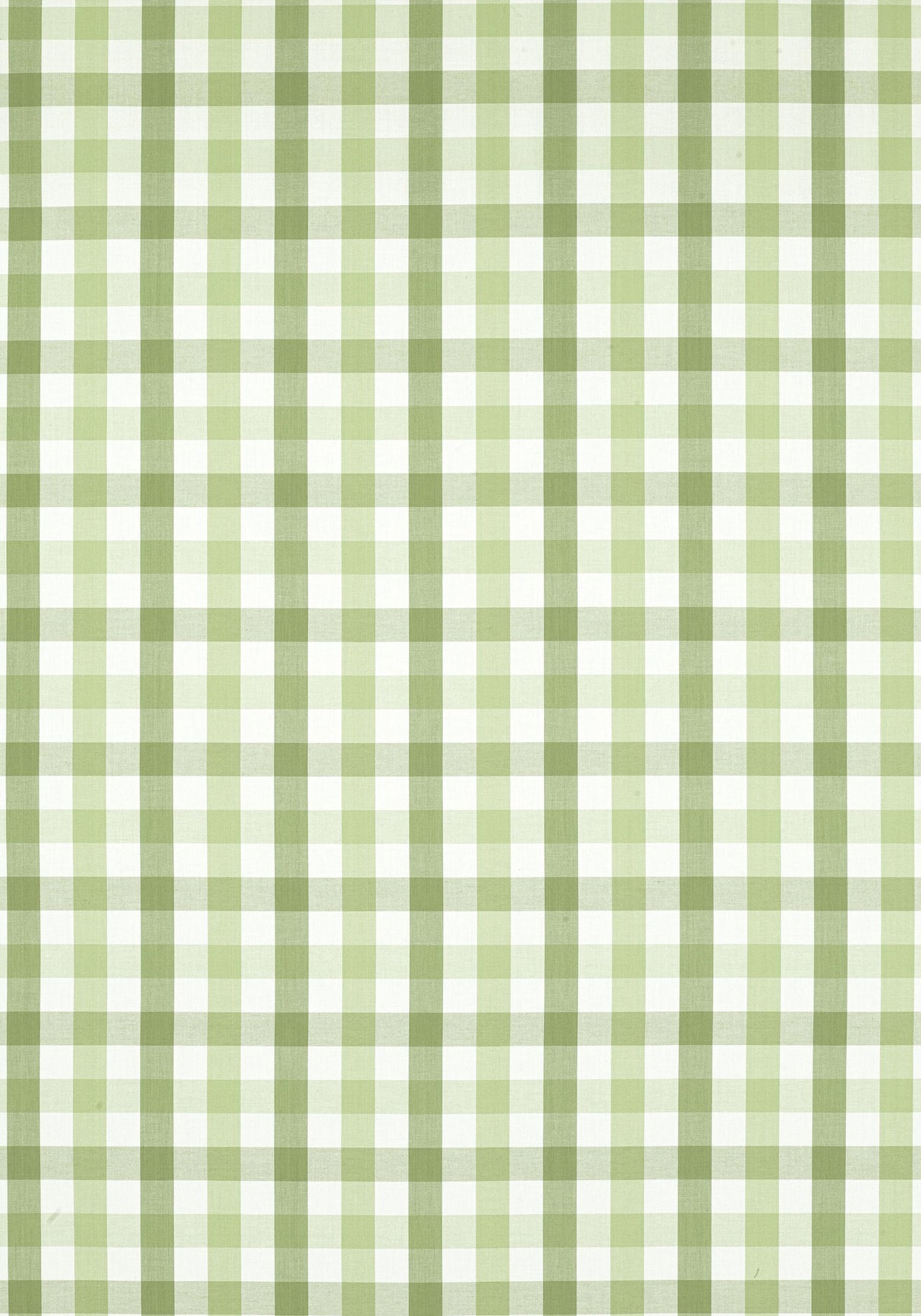 Anna French SAYBROOK CHECK Green Fabric