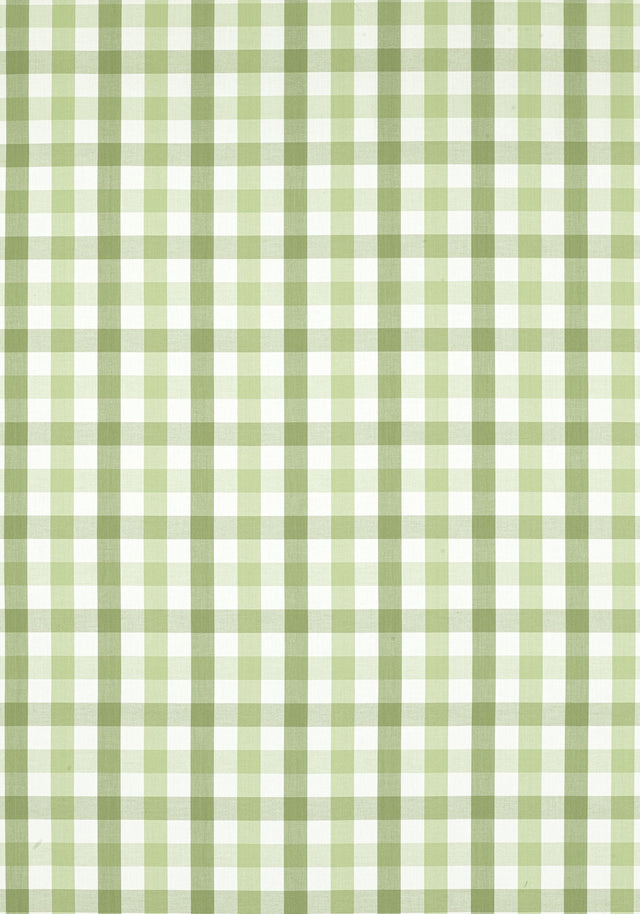 Anna French SAYBROOK CHECK Green Fabric