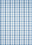 Anna French SAYBROOK CHECK Light Blue Fabric