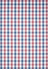 Anna French SAYBROOK CHECK Blue and Red Fabric