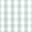 Anna French Hammond Check Robin'S Egg Fabric