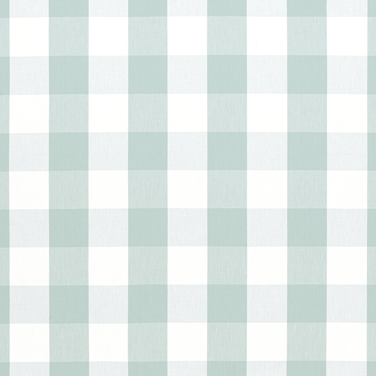 Anna French Hammond Check Robin'S Egg Fabric