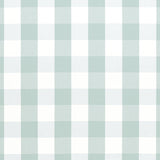 Anna French Hammond Check Robin'S Egg Fabric