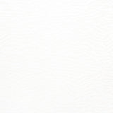 Anna French TADOBA VELVET Ivory Fabric