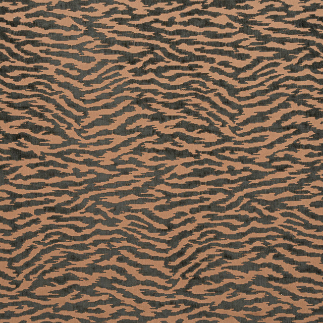 Anna French TADOBA VELVET Charcoal on Caramel Fabric