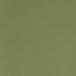 Coraggio GRAMERCY PARK Olive Fabric