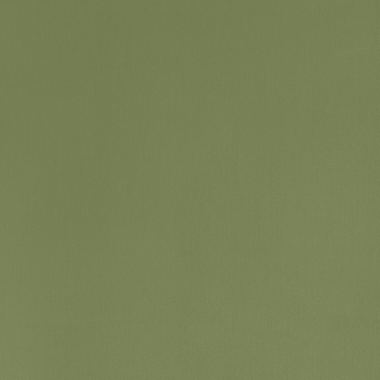 Coraggio GRAMERCY PARK Olive Fabric