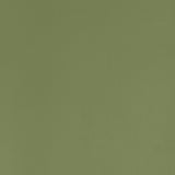 Coraggio GRAMERCY PARK Olive Fabric