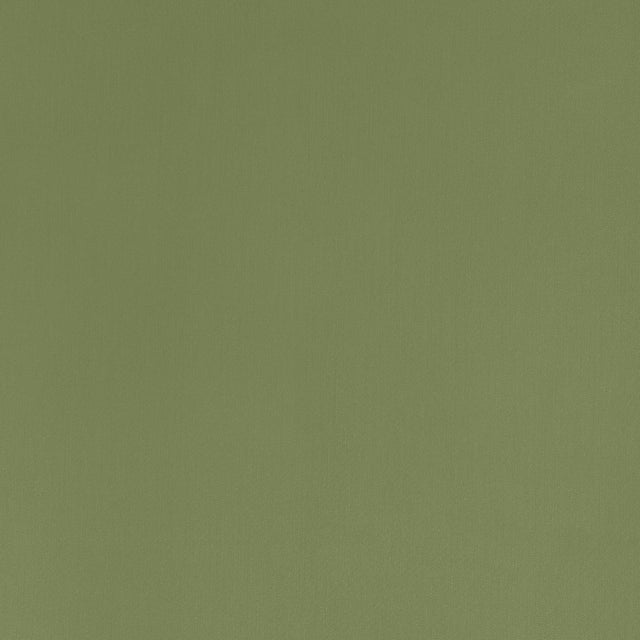 Coraggio GRAMERCY PARK Olive Fabric
