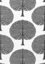 Thibaut MULBERRY TREE Black and White Fabric