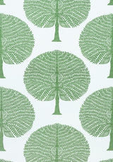 Thibaut MULBERRY TREE Green Fabric