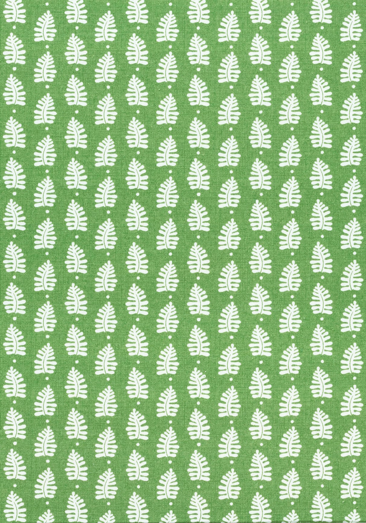 Thibaut FERNDALE Green Fabric