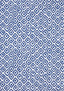 Thibaut INDIAN DIAMOND Blue Fabric
