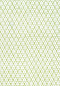 Thibaut ARBORETA Green Fabric
