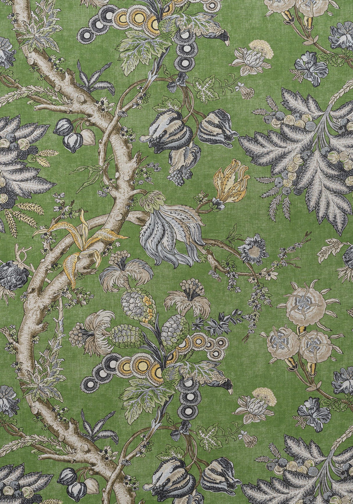 Thibaut CHATELAIN Green Fabric