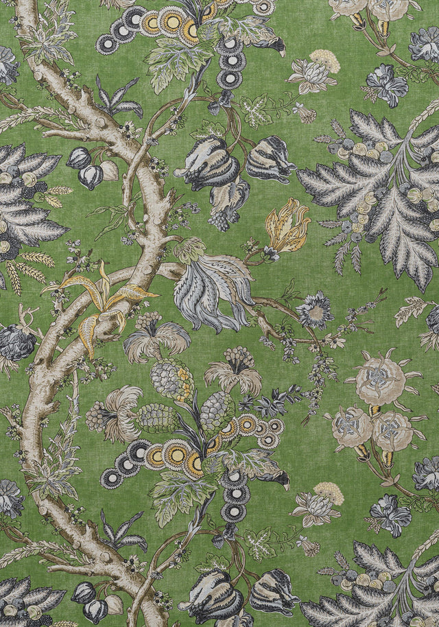 Thibaut CHATELAIN Green Fabric