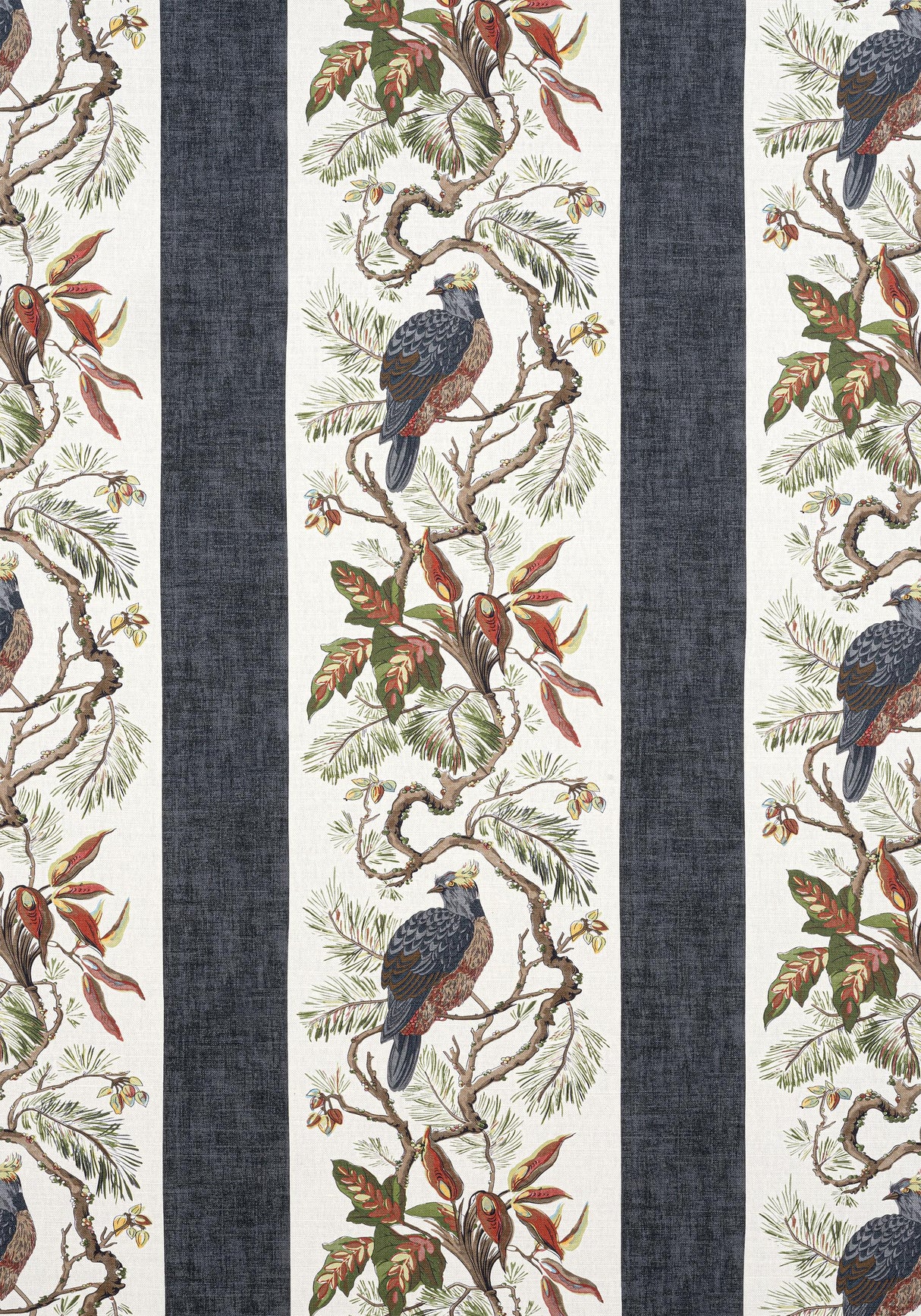 Thibaut WILLIAMSON Black Fabric