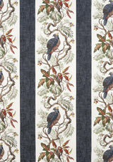 Thibaut WILLIAMSON Black Fabric