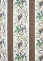 Thibaut WILLIAMSON Brown Fabric