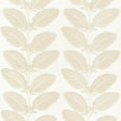 Thibaut LACINATO Birch Fabric