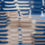 Thibaut Rio Grande Blue And Beige Fabric