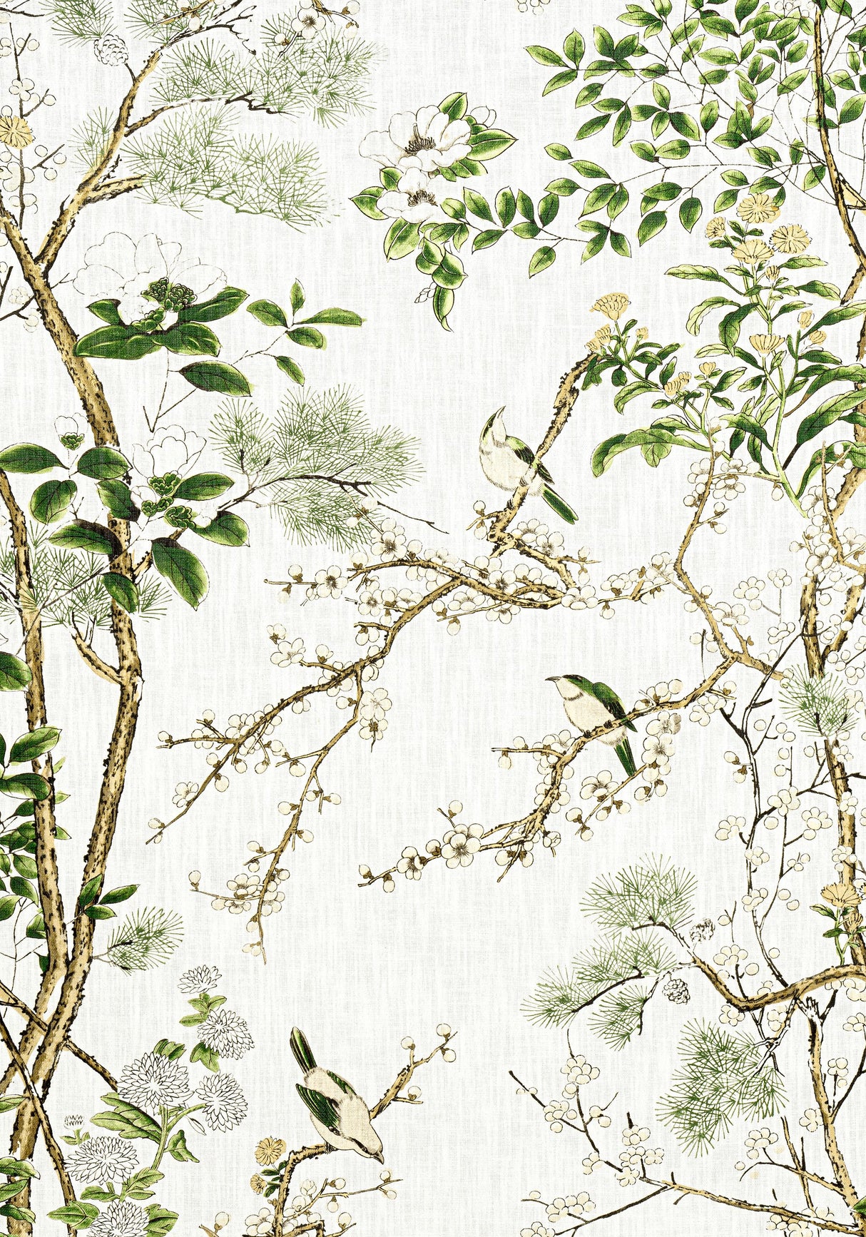 Thibaut KATSURA Green and White Fabric
