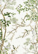 Thibaut KATSURA Green and White Fabric