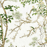 Thibaut Katsura Green And White Fabric