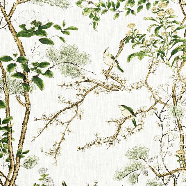 Thibaut Katsura Green And White Fabric