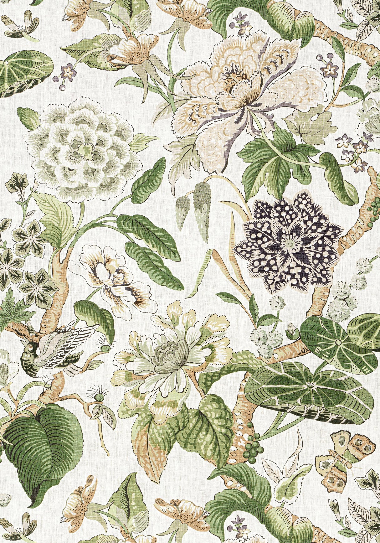 Thibaut HILL GARDEN White and Green Fabric