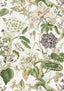 Thibaut HILL GARDEN White and Green Fabric