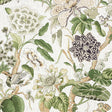 Thibaut Hill Garden White And Green Fabric