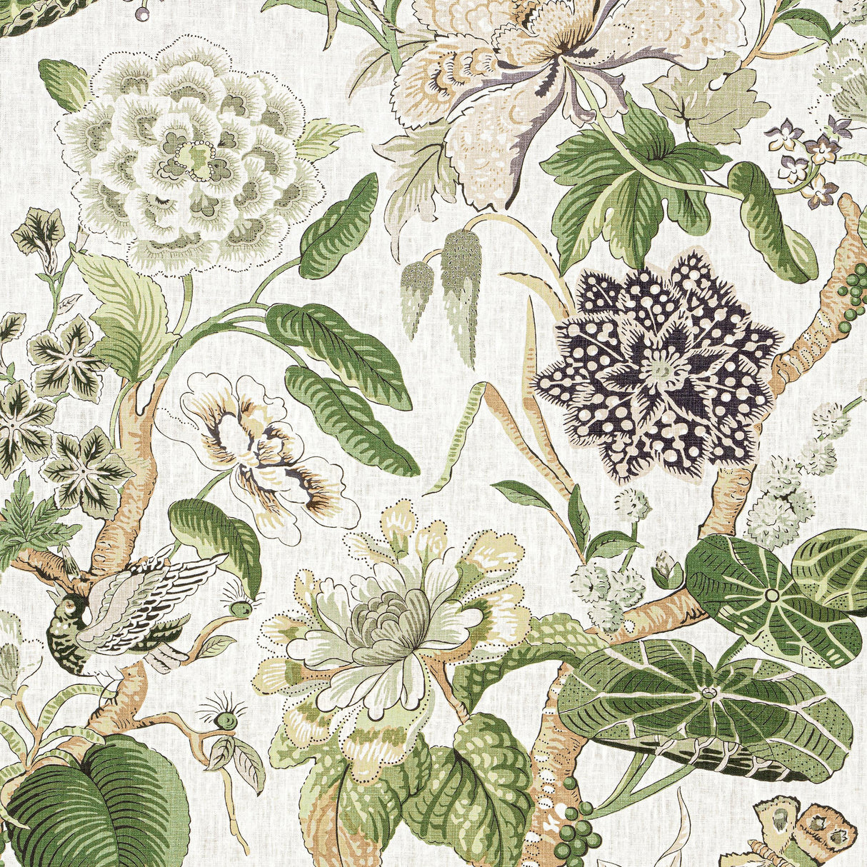 Thibaut Hill Garden White And Green Fabric
