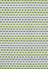 Thibaut DENVER Green and Blue Fabric
