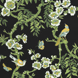 Thibaut Yukio Black Fabric