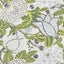 Thibaut Mitford Green And White Fabric