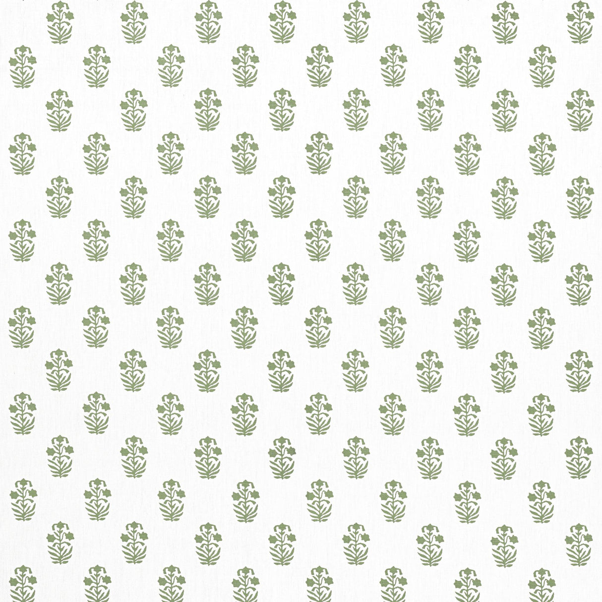 Thibaut CORWIN Green on White Fabric
