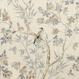 Thibaut CLAIRE Neutral Fabric
