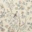 Thibaut CLAIRE Neutral Fabric