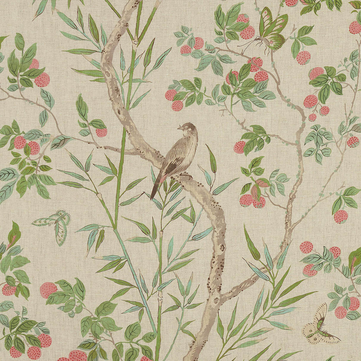 Thibaut CLAIRE Coral and Green Fabric