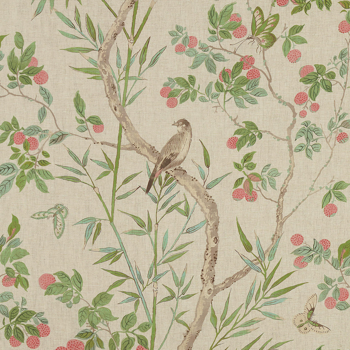 Thibaut Claire Coral And Green Fabric