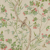 Thibaut Claire Coral And Green Fabric