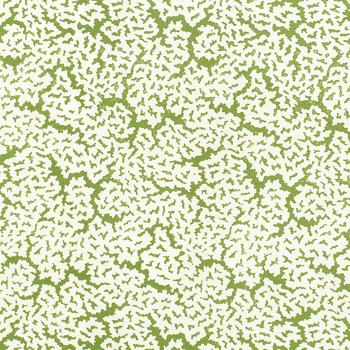 Thibaut MALDIVES Green Fabric