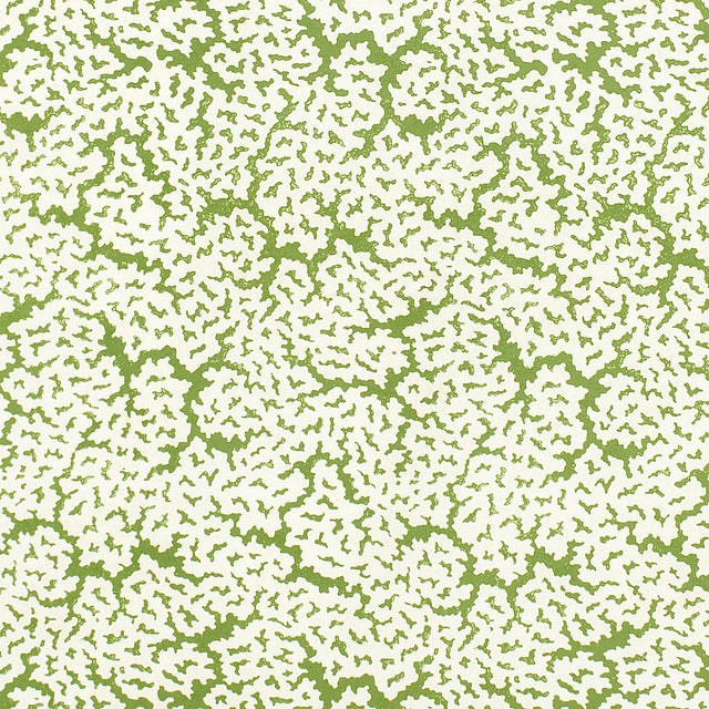 Thibaut MALDIVES Green Fabric